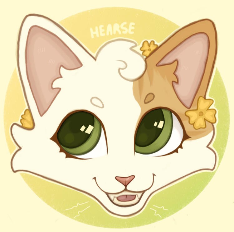 Headshot - $10 | 1500R